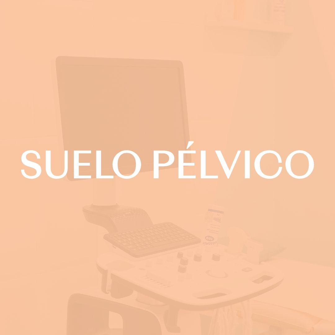 Suelo pélvico